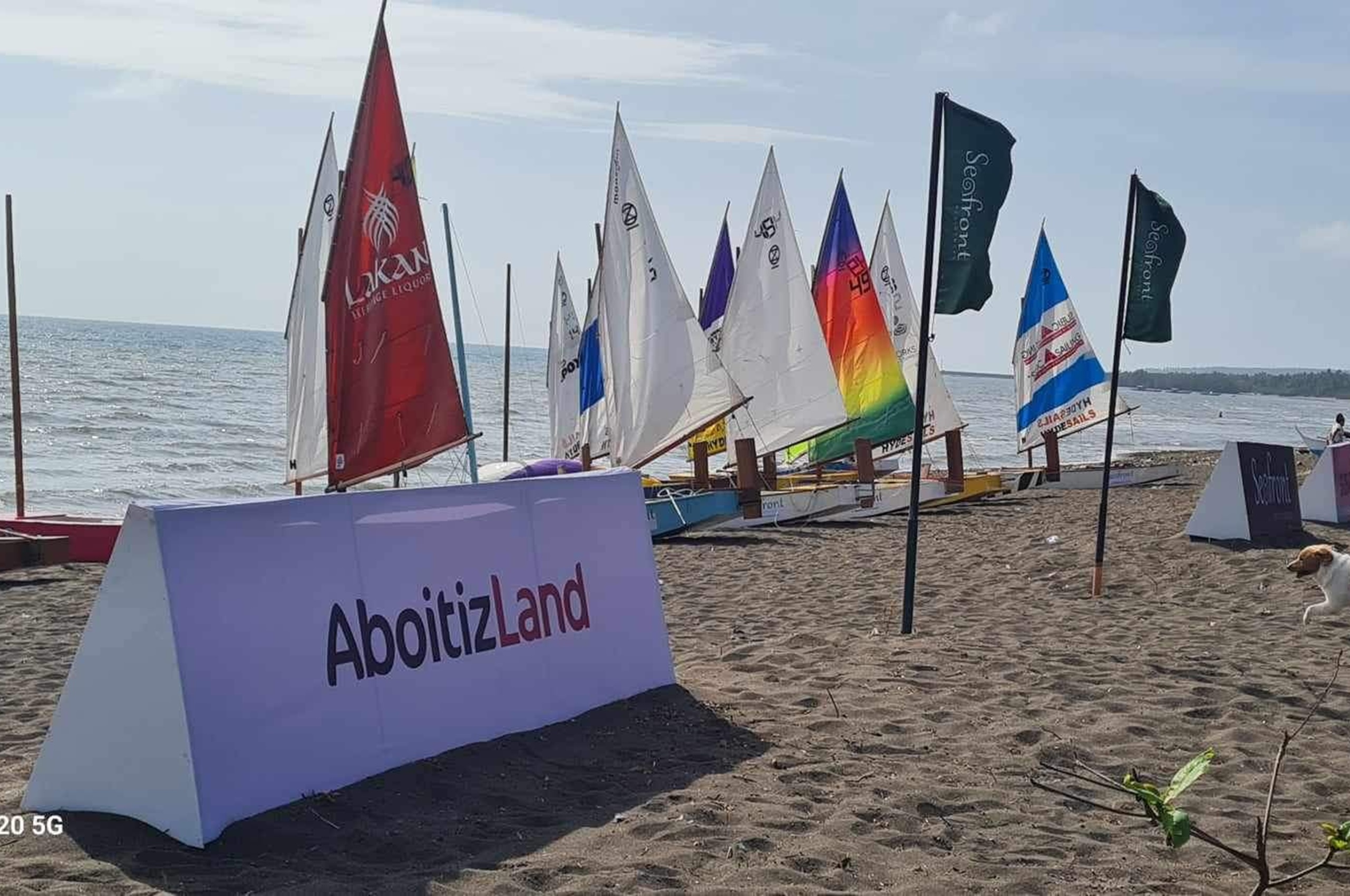 Aboitiz Ozgoose Summer Regatta (Seafront)